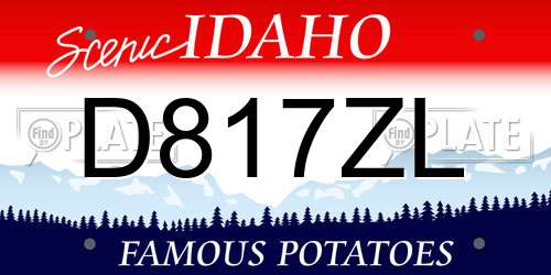D817ZL Idaho License Plate