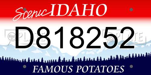 D818252 Idaho License Plate