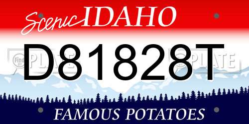 D81828T Idaho License Plate