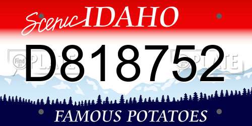 D818752 Idaho License Plate