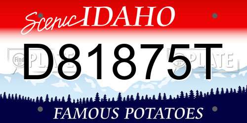 D81875T Idaho License Plate