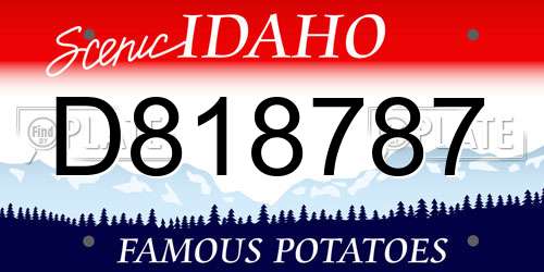 D818787 Idaho License Plate