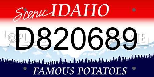 D820689 Idaho License Plate