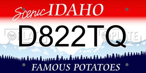 D822TQ Idaho License Plate