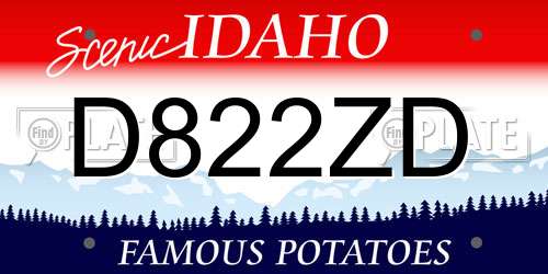 D822ZD Idaho License Plate