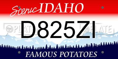 D825ZI Idaho License Plate