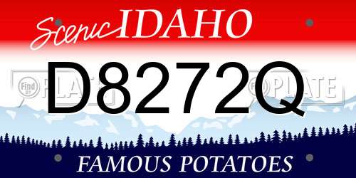 D8272Q Idaho License Plate