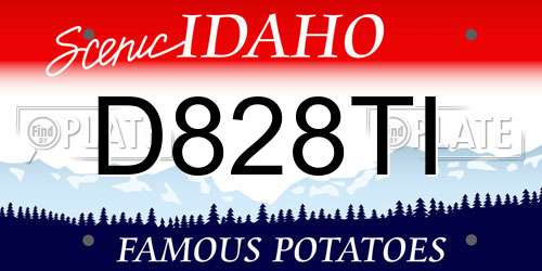 D828TI Idaho License Plate