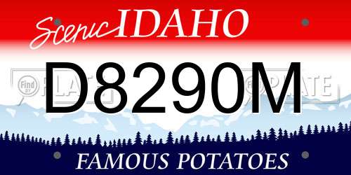 D8290M Idaho License Plate