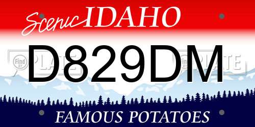 D829DM Idaho License Plate