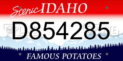 D854285 Idaho License Plate