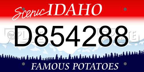 D854288 Idaho License Plate