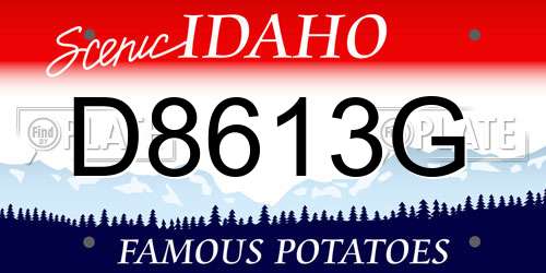 D8613G Idaho License Plate