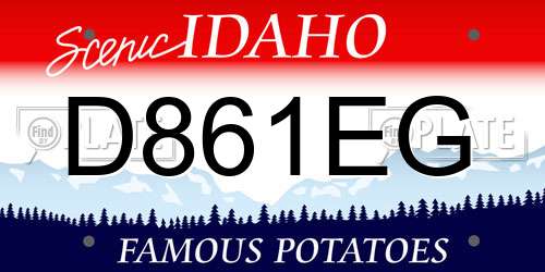 D861EG Idaho License Plate