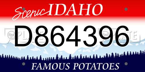 D864396 Idaho License Plate