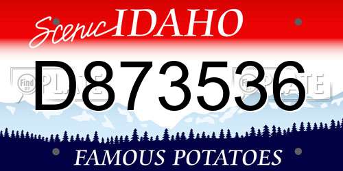 D873536 Idaho License Plate