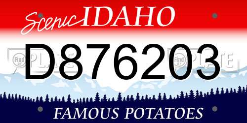 D876203 Idaho License Plate