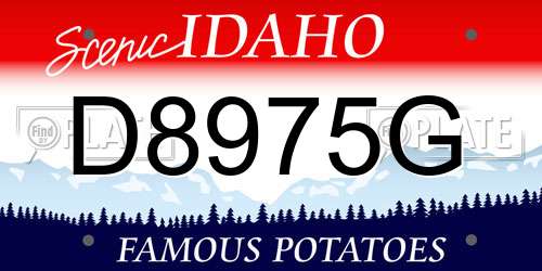 D8975G Idaho License Plate
