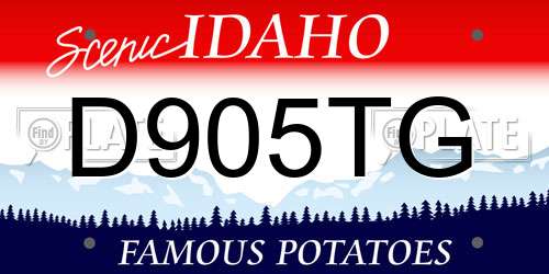 D905TG Idaho License Plate