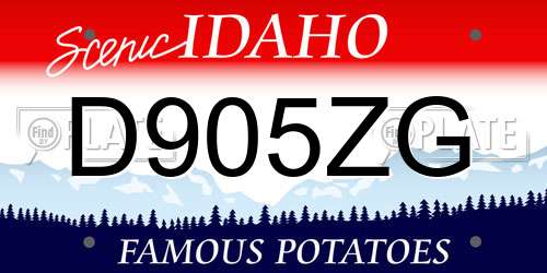 D905ZG Idaho License Plate