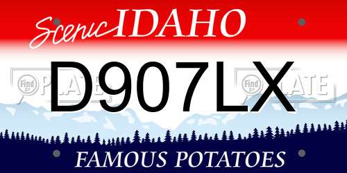 D907LX Idaho License Plate