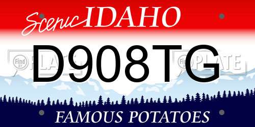 D908TG Idaho License Plate
