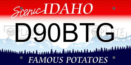 D90BTG Idaho License Plate