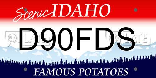 D90FDS Idaho License Plate