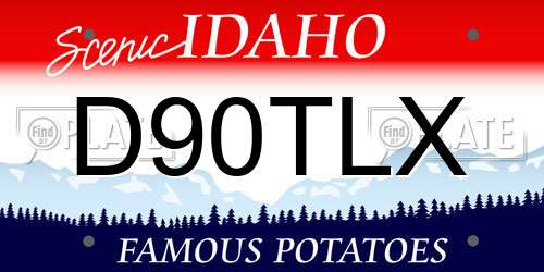 D90TLX Idaho License Plate