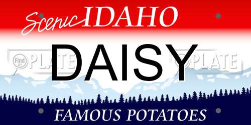DAISY Idaho License Plate