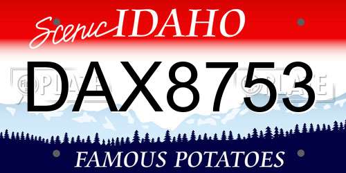 DAX8753 Idaho License Plate