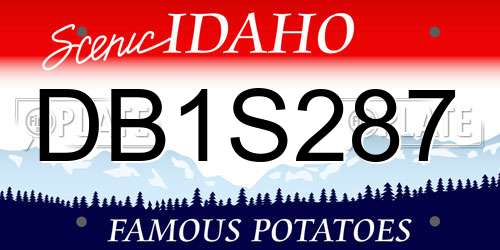 DB1S287 Idaho License Plate