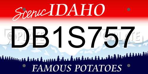DB1S757 Idaho License Plate
