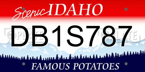 DB1S787 Idaho License Plate