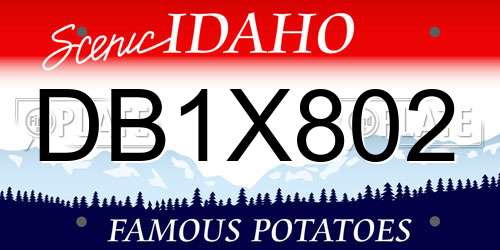 DB1X802 Idaho License Plate