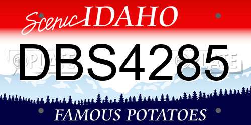 DBS4285 Idaho License Plate