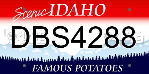 DBS4288 Idaho License Plate