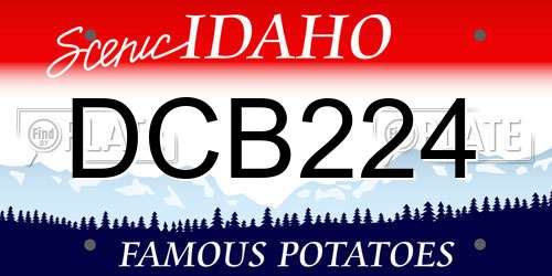 DCB224 Idaho License Plate