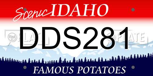 DDS281 Idaho License Plate