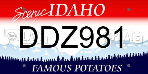DDZ981 Idaho License Plate