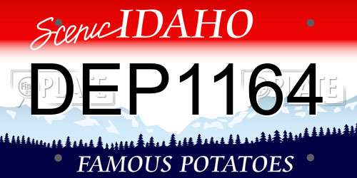 DEP1164 Idaho License Plate