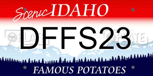 DFFS23 Idaho License Plate