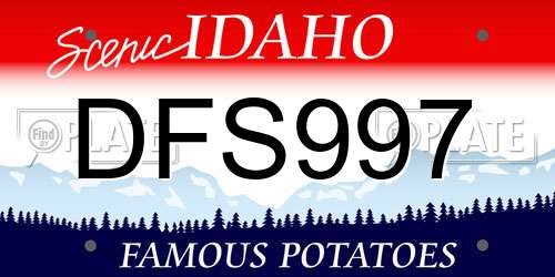DFS997 Idaho License Plate