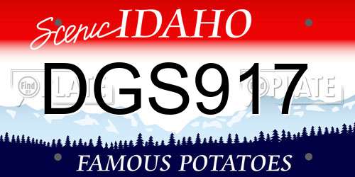 DGS917 Idaho License Plate