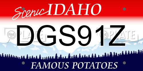 DGS91Z Idaho License Plate