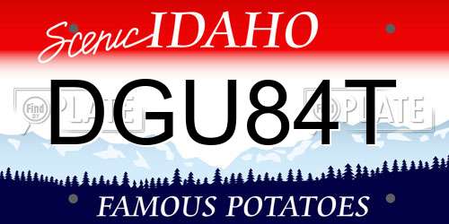 DGU84T Idaho License Plate