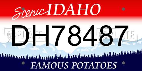DH78487 Idaho License Plate