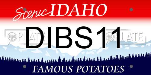 DIBS11 Idaho License Plate