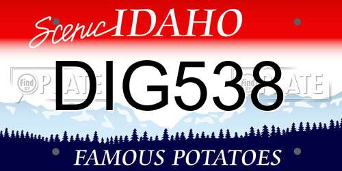 DIG538 Idaho License Plate