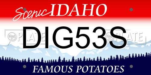 DIG53S Idaho License Plate